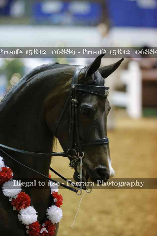 Proof 15R12_06889