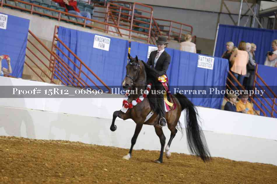 Proof 15R12_06890