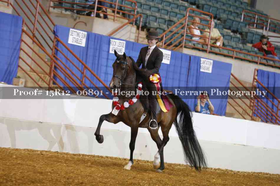 Proof 15R12_06891