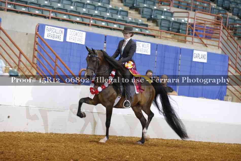 Proof 15R12_06892