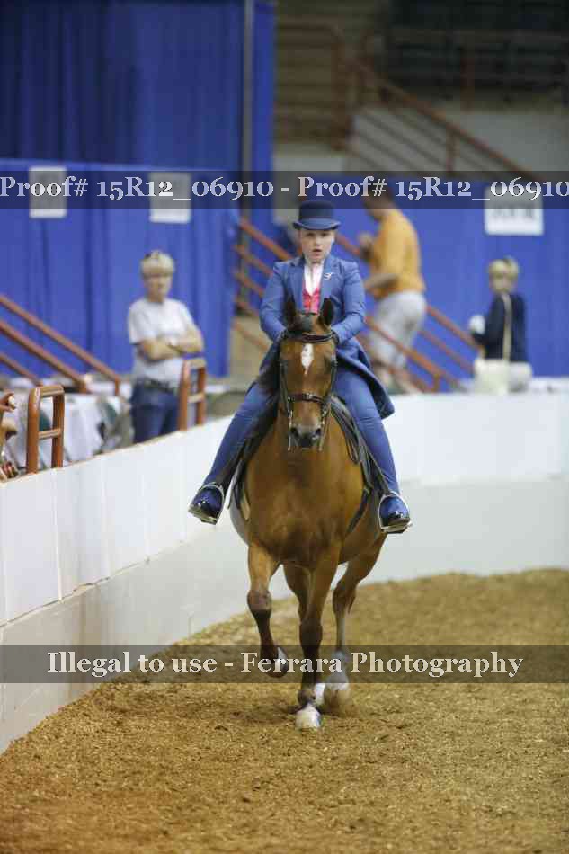 Proof 15R12_06910
