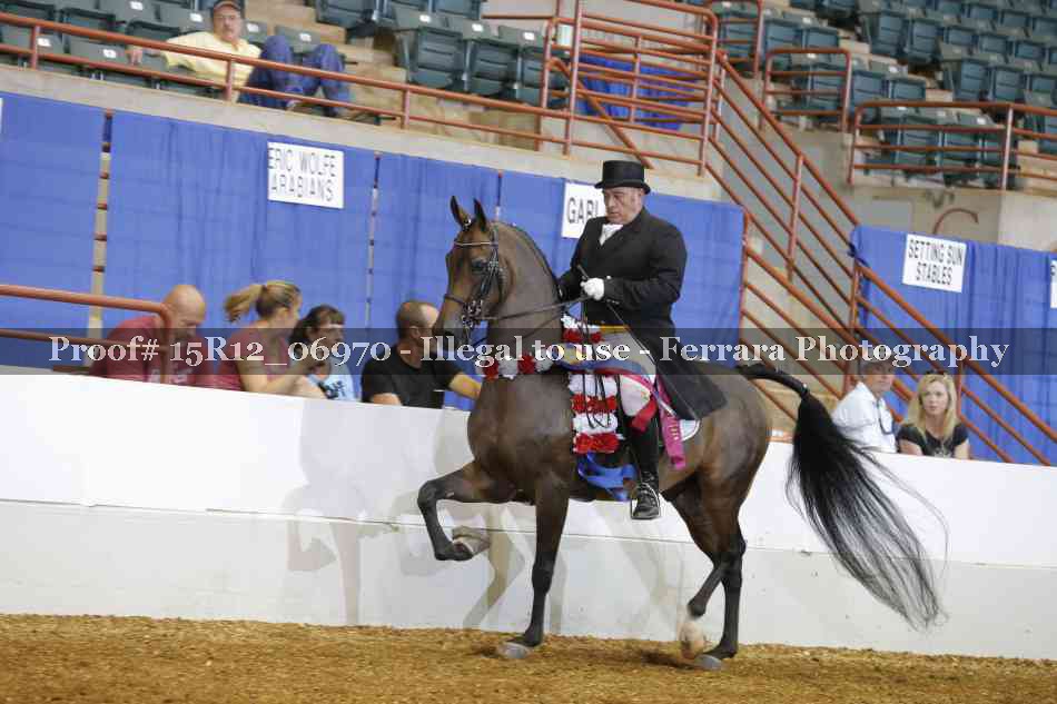 Proof 15R12_06970