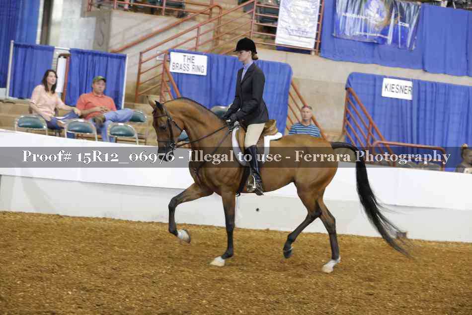Proof 15R12_06976