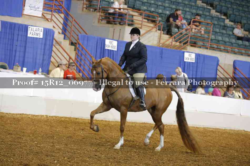 Proof 15R12_06977