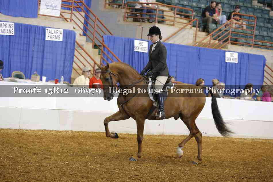 Proof 15R12_06979
