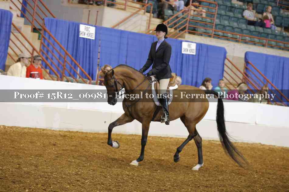 Proof 15R12_06981