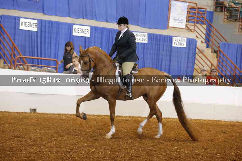 Proof 15R12_06983