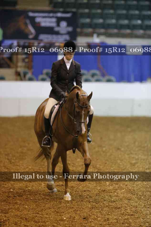 Proof 15R12_06988