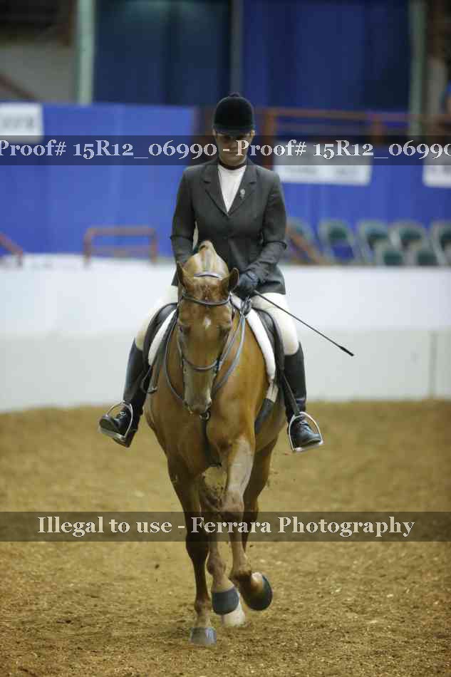 Proof 15R12_06990