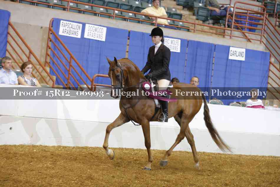 Proof 15R12_06993