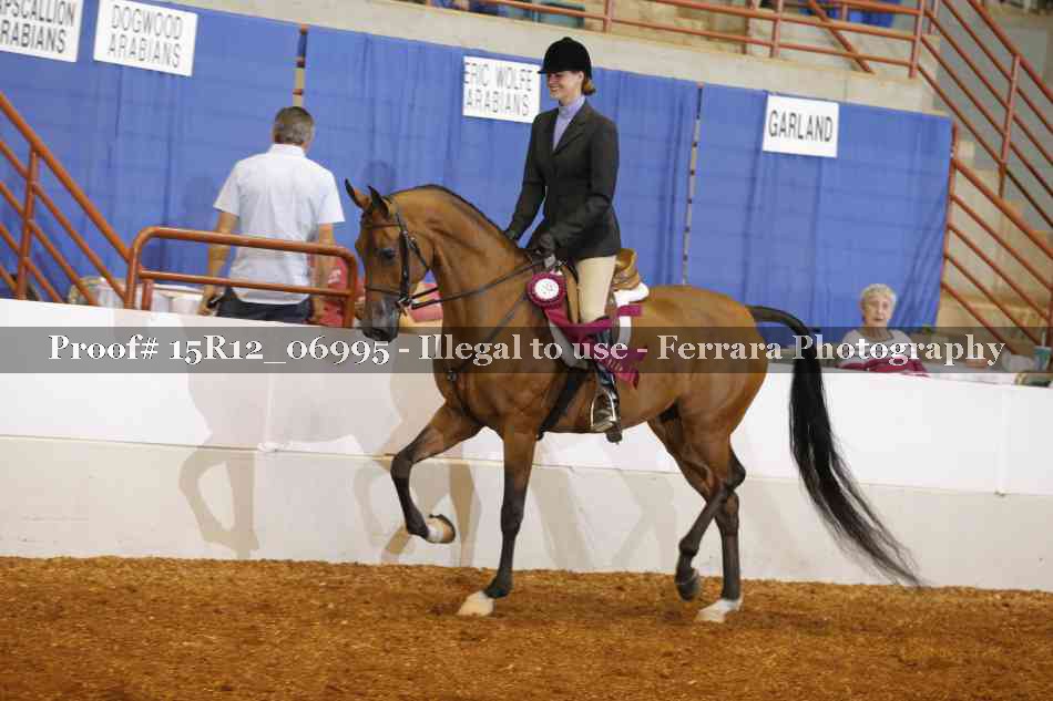 Proof 15R12_06995