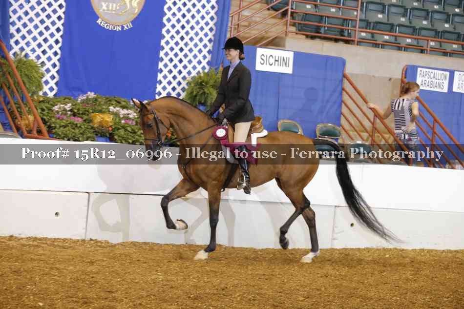 Proof 15R12_06996