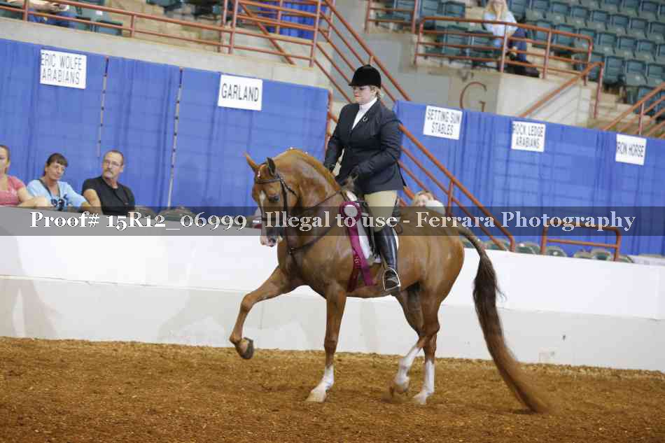 Proof 15R12_06999