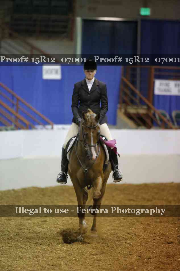Proof 15R12_07001