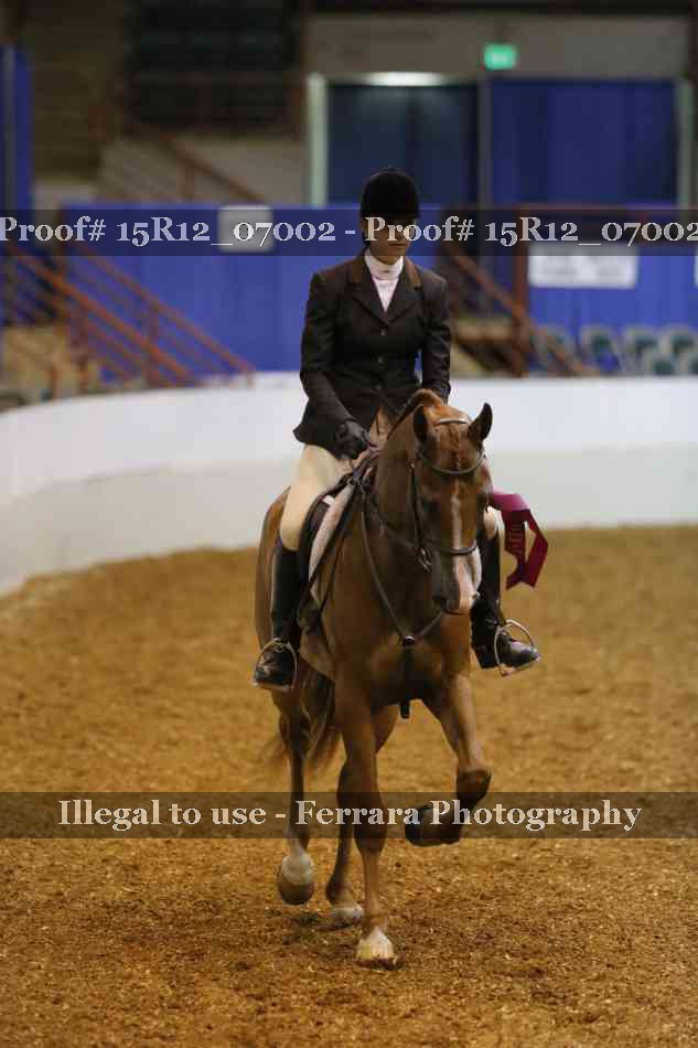 Proof 15R12_07002