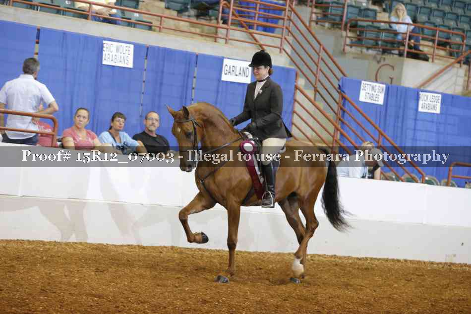 Proof 15R12_07003