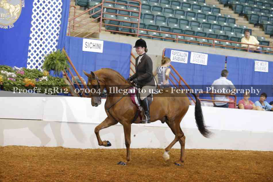 Proof 15R12_07004