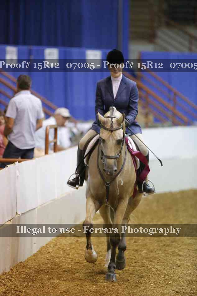 Proof 15R12_07005