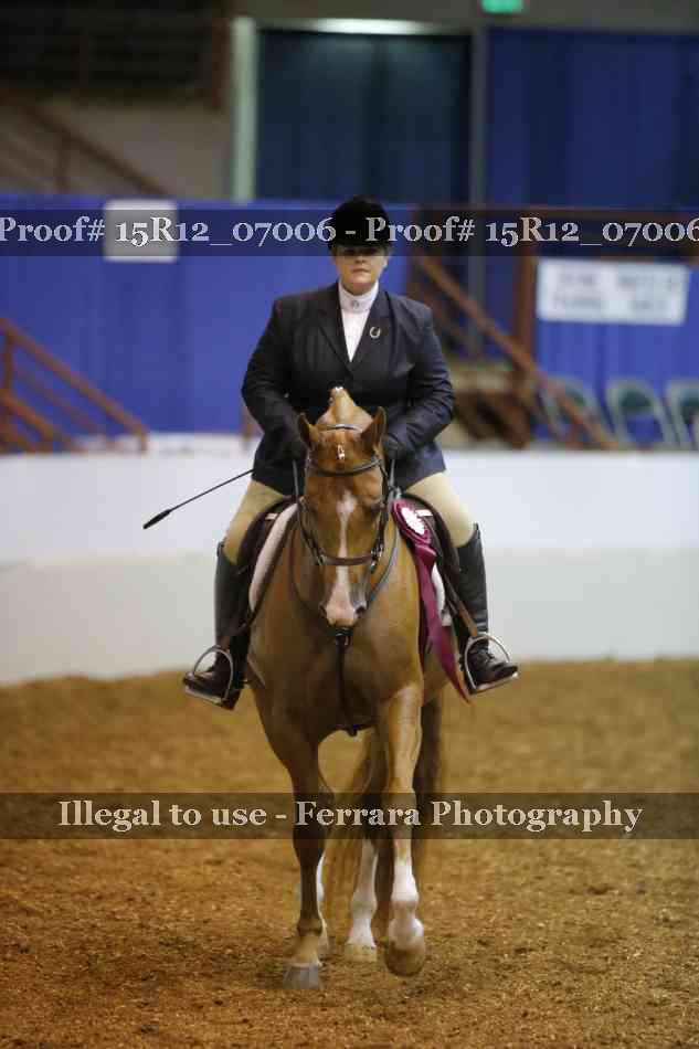 Proof 15R12_07006