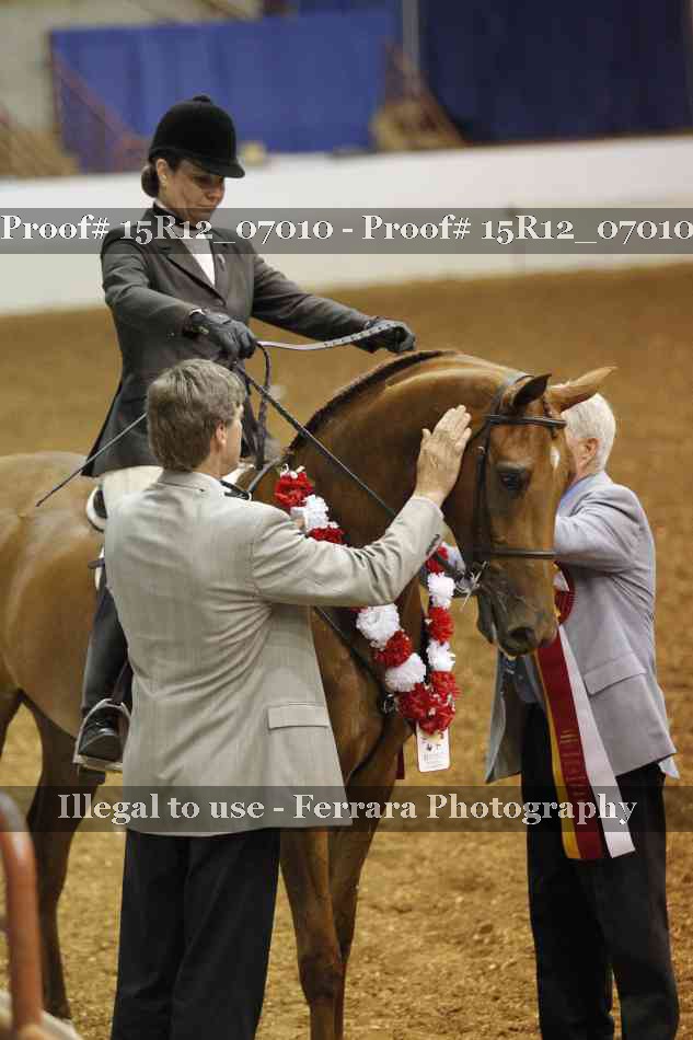 Proof 15R12_07010