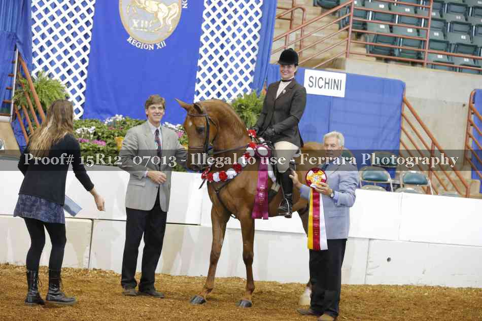 Proof 15R12_07013
