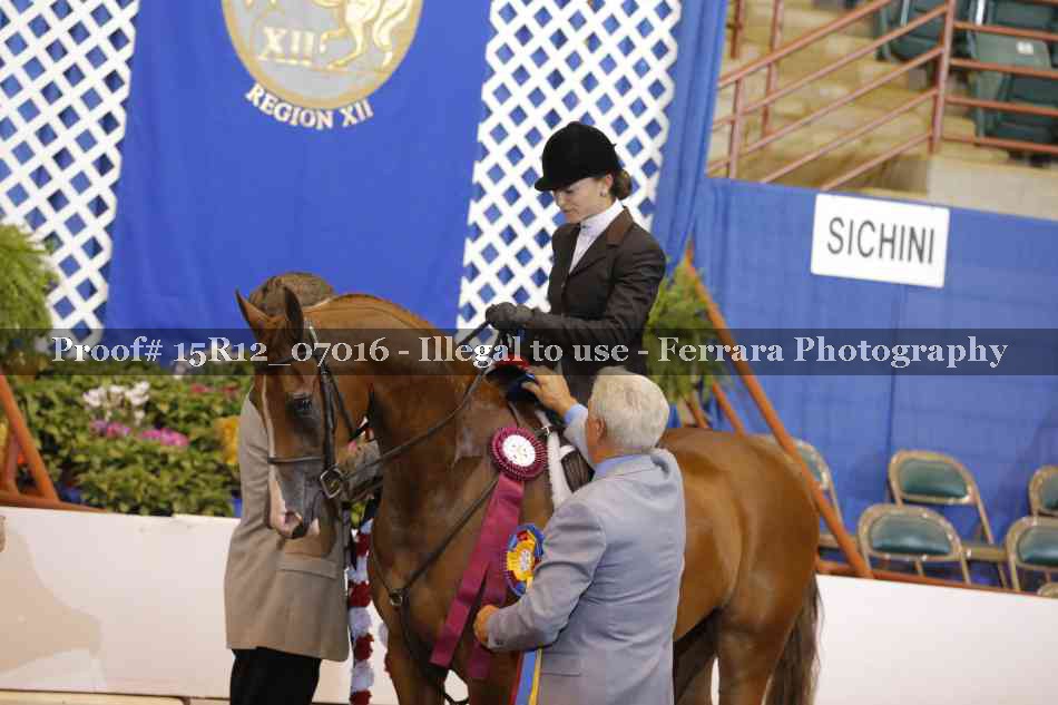 Proof 15R12_07016