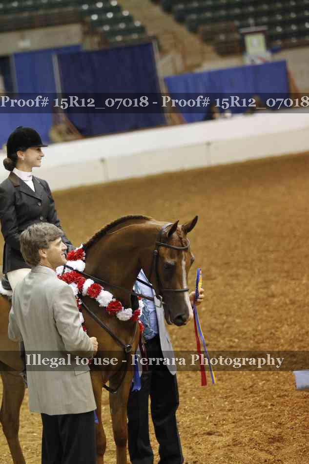 Proof 15R12_07018