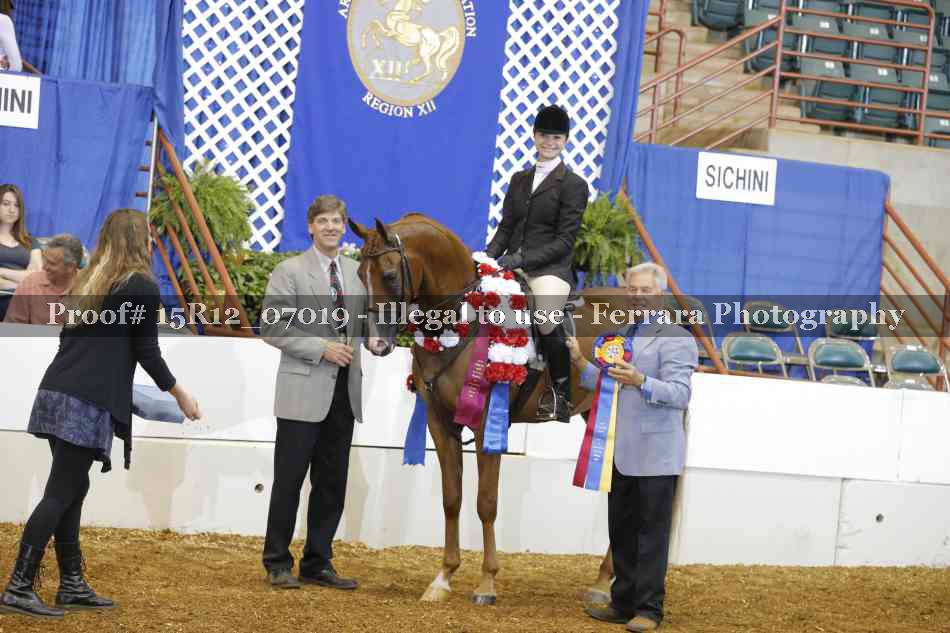 Proof 15R12_07019