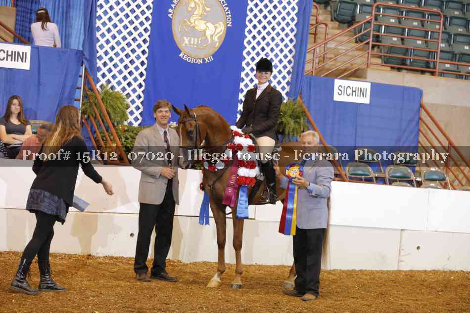 Proof 15R12_07020