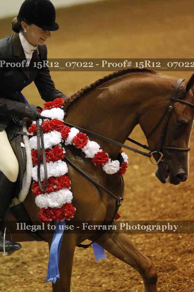 Proof 15R12_07022