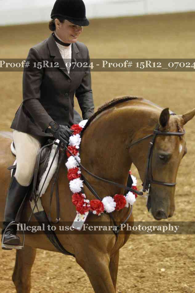 Proof 15R12_07024