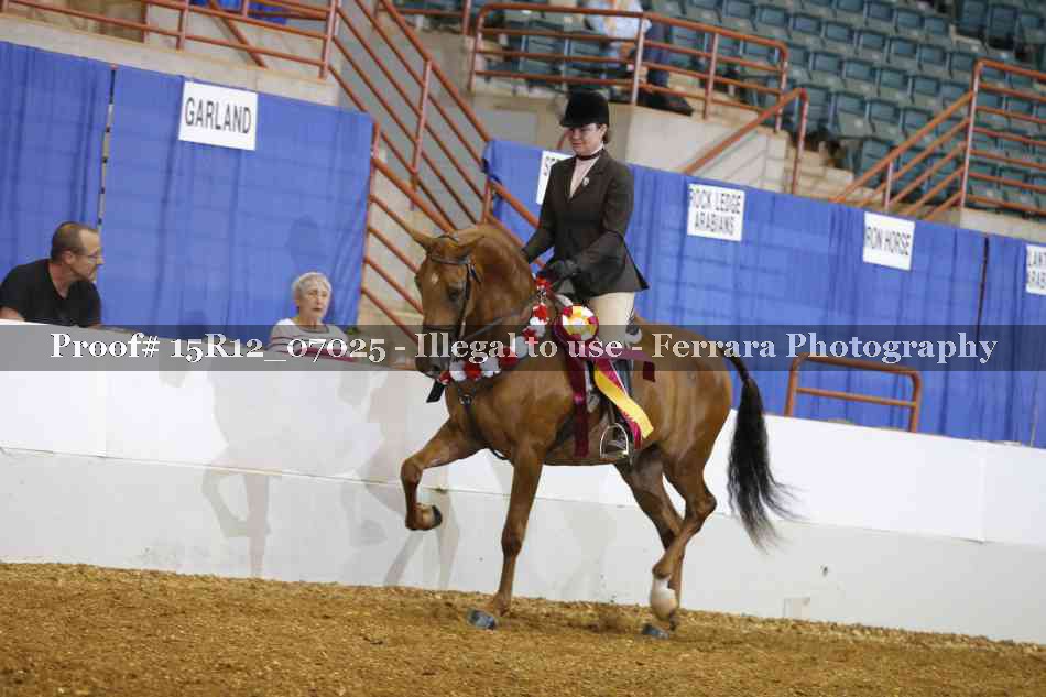 Proof 15R12_07025