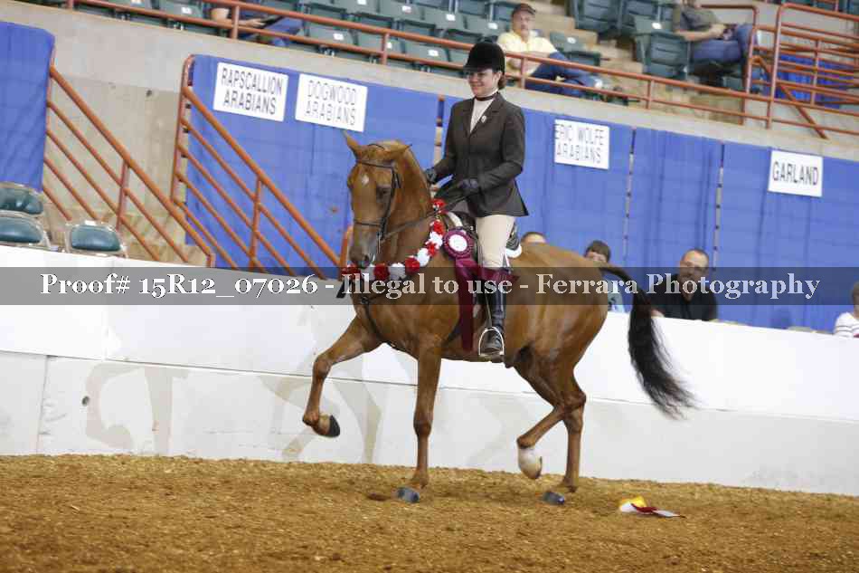 Proof 15R12_07026