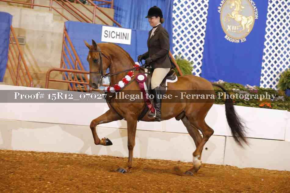 Proof 15R12_07027