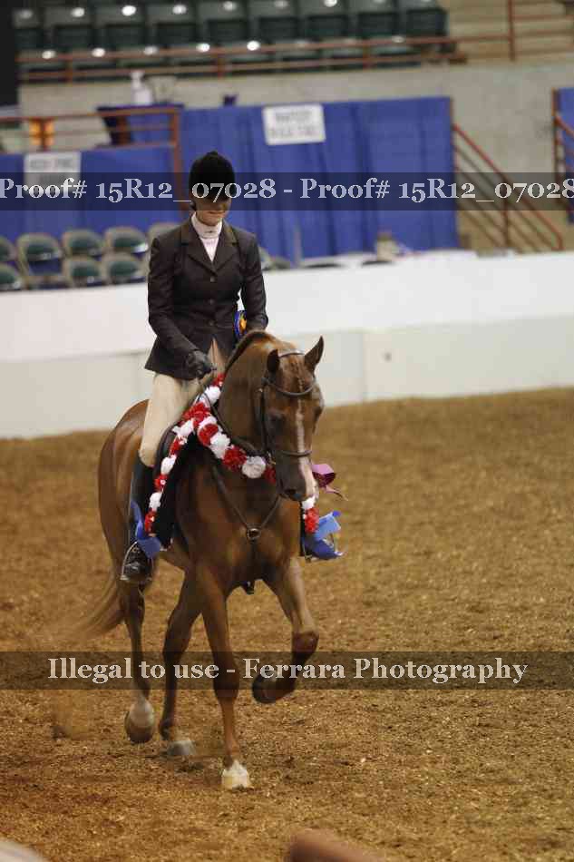 Proof 15R12_07028