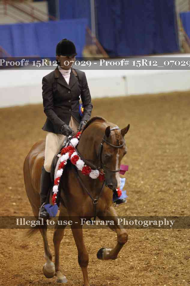 Proof 15R12_07029