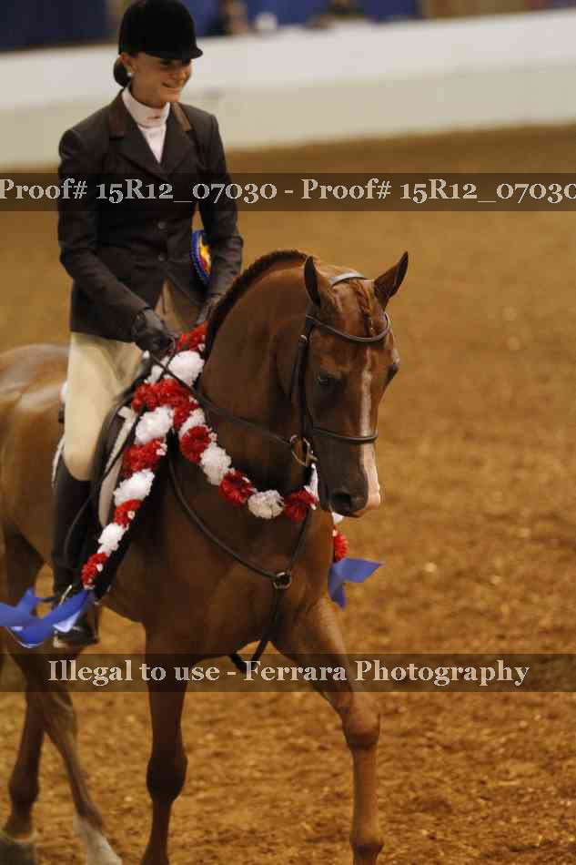 Proof 15R12_07030