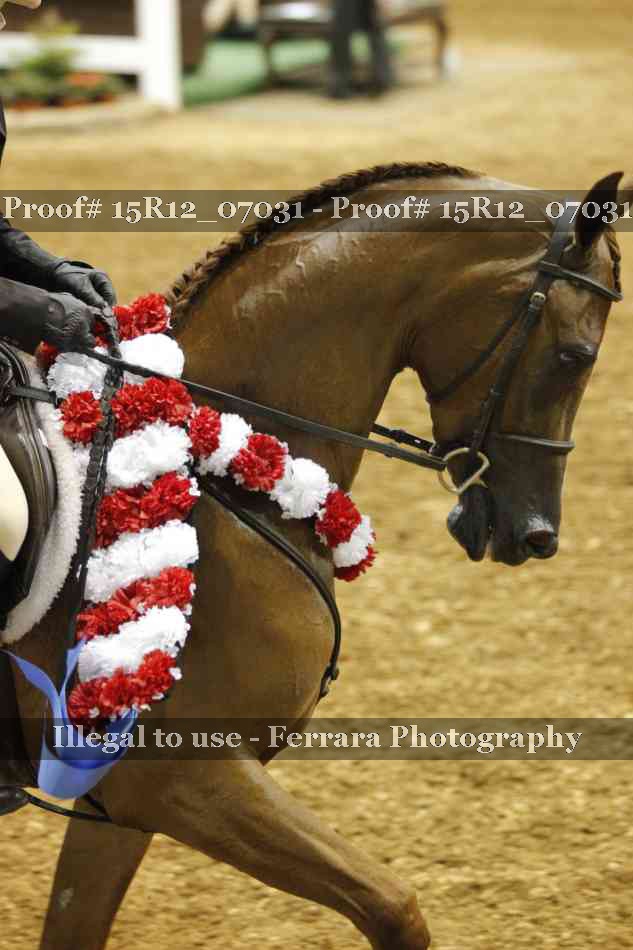 Proof 15R12_07031