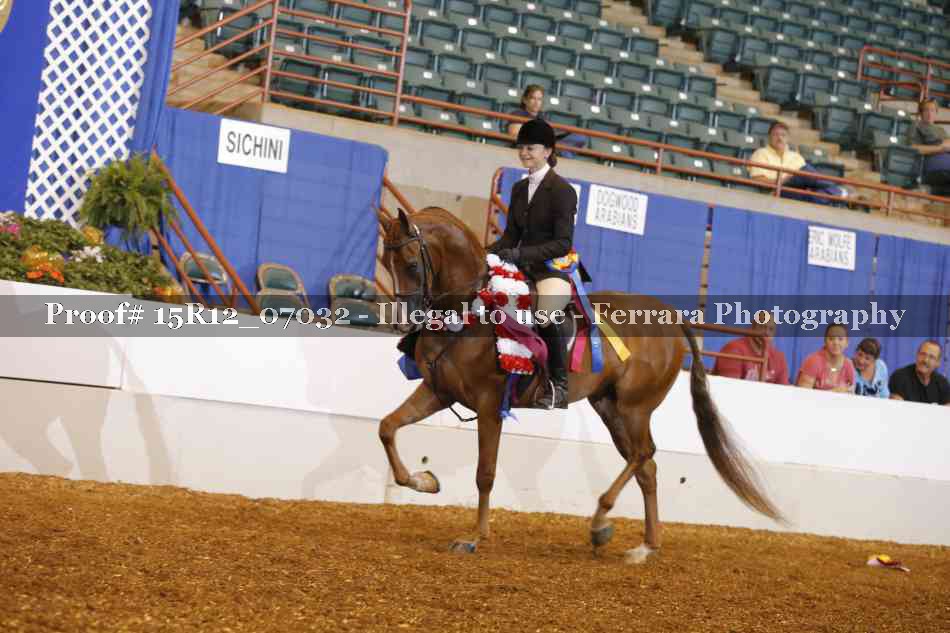 Proof 15R12_07032