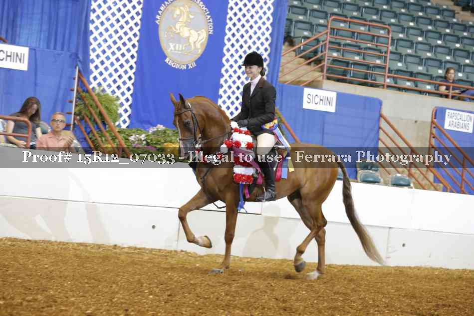 Proof 15R12_07033