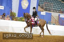 15R12_07033 proof