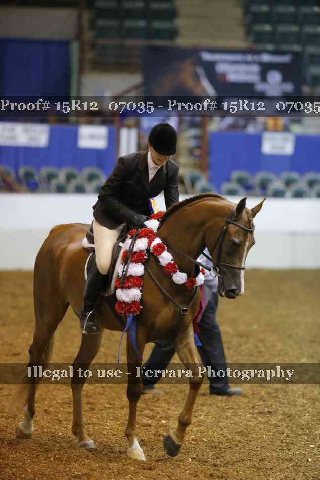 Proof 15R12_07035