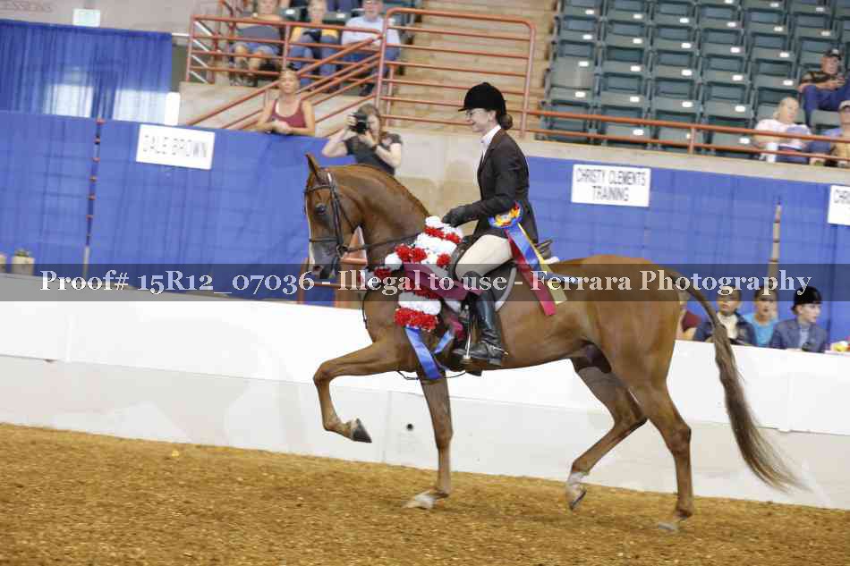 Proof 15R12_07036
