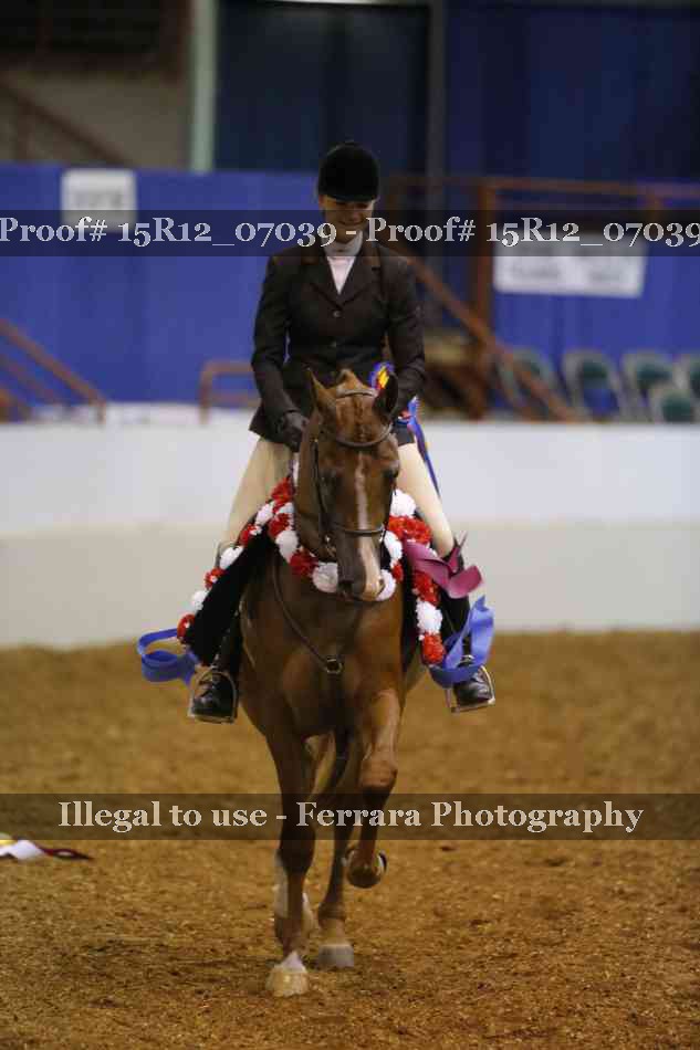 Proof 15R12_07039