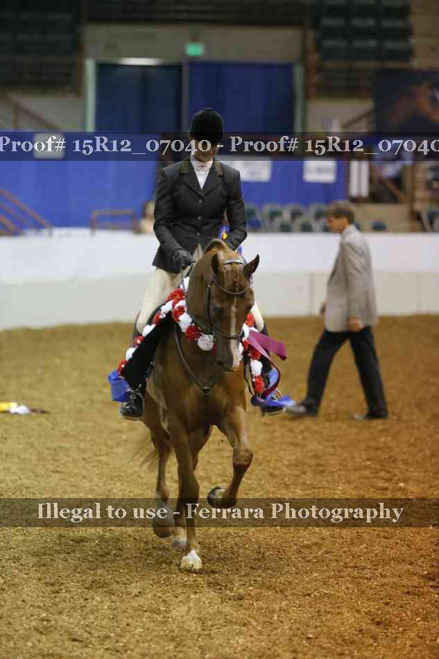 Proof 15R12_07040