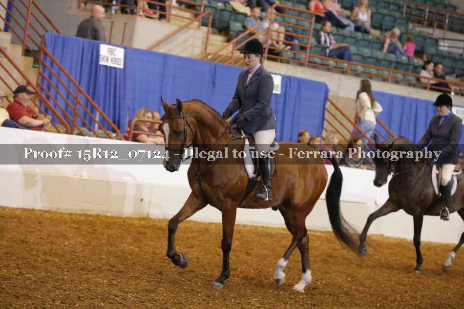 Proof 15R12_07124