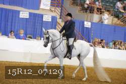 15R12_07129 proof