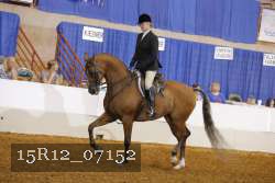 15R12_07152 proof