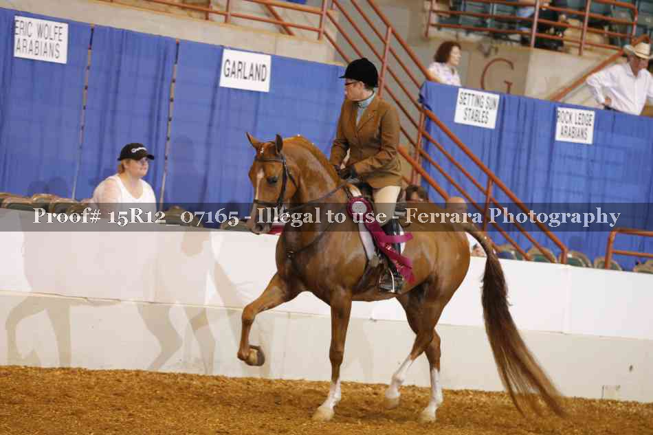 Proof 15R12_07165