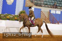 15R12_07166 proof